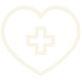 healthcare-icon
