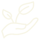 professional-dev-icon